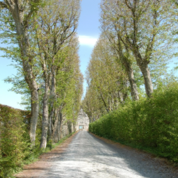 Aménagement d'Allées et Chemins pour Structurer et Embellir votre Espace de Vie Villeneuve-les-Avignon